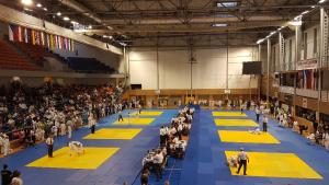 Brno cup_Trawex_0.jpg